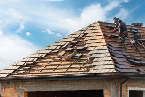 Best Cold Roofs  in Dodge Center, MN